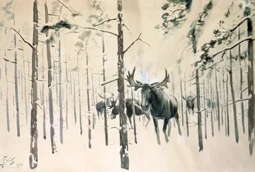 Moose